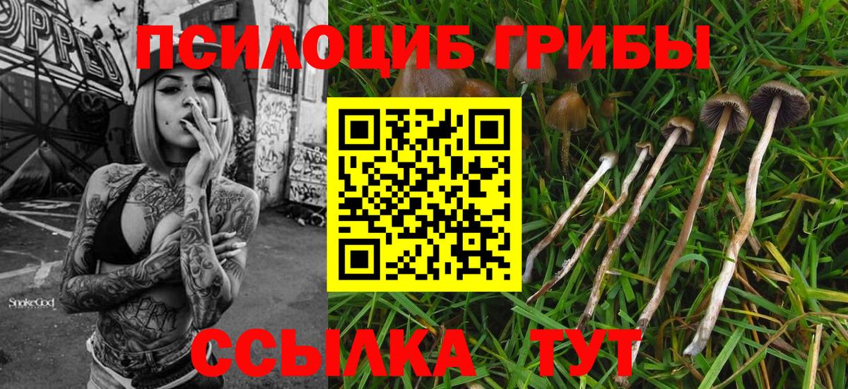 Бузулук  Псилоцибиновые грибы мицелий  Галлюциногенные грибы ЛСД  Вход с VPN 