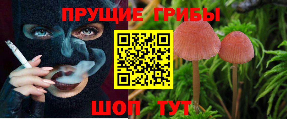 Галлюциногенные грибы Cubensis Бузулук